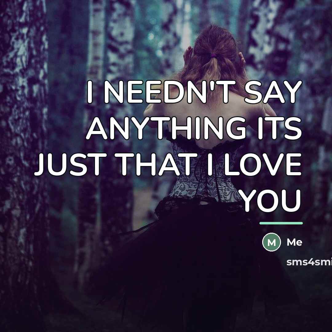 “I NEEDN'T SAY ANYTHING ITS JUST THAT I LOVE YOU…” quote by ME