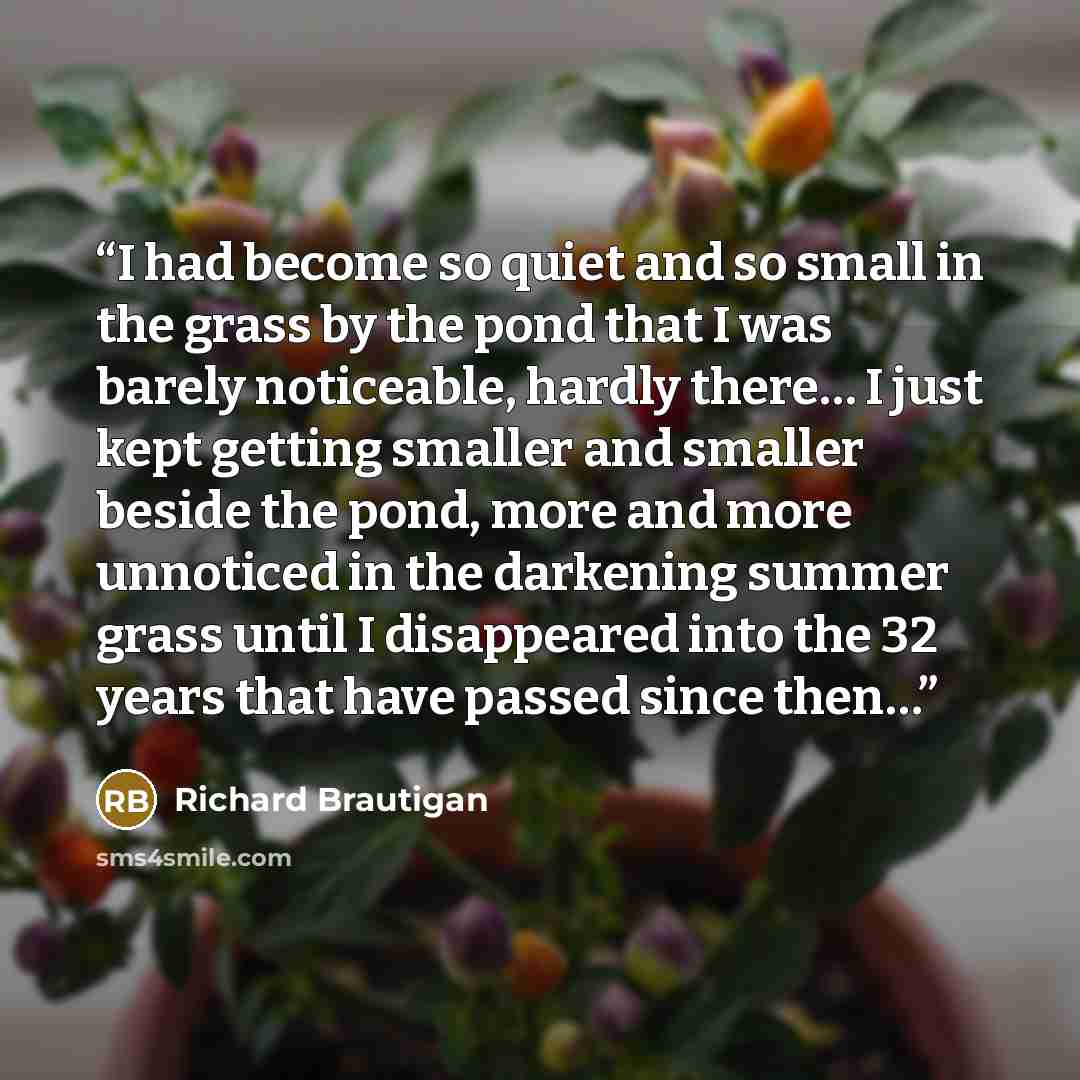 “I had become so quiet and so small in the grass by the pond that I was barely noticeable, hardly there… I just kept getting smaller and smaller beside the pond, more and more unnoticed in the darkening summer grass until I disappeared into the 32 years that have passed since then…” quote by Richard Brautigan