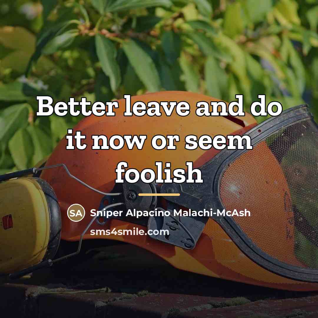 “Better leave and do it now or seem foolish…” quote by Sniper Alpacino Malachi-McAsh