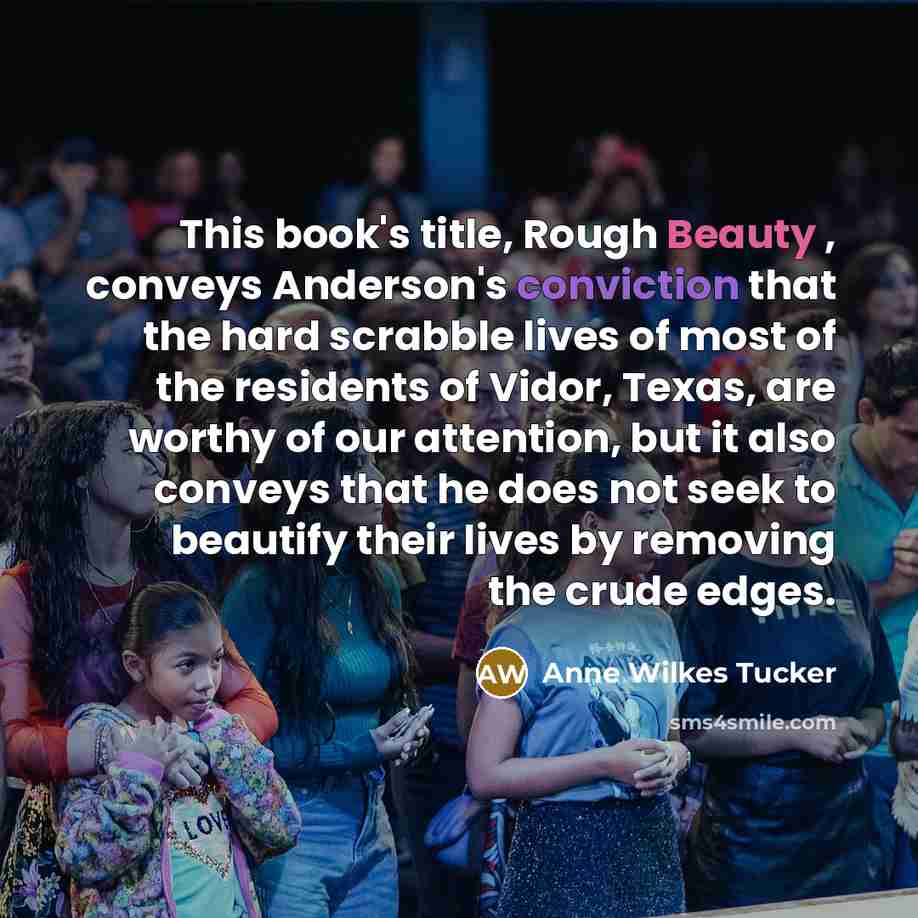 “This book's title, Rough Beauty , conveys Anderson's conviction that…” quote by Anne Wilkes Tucker