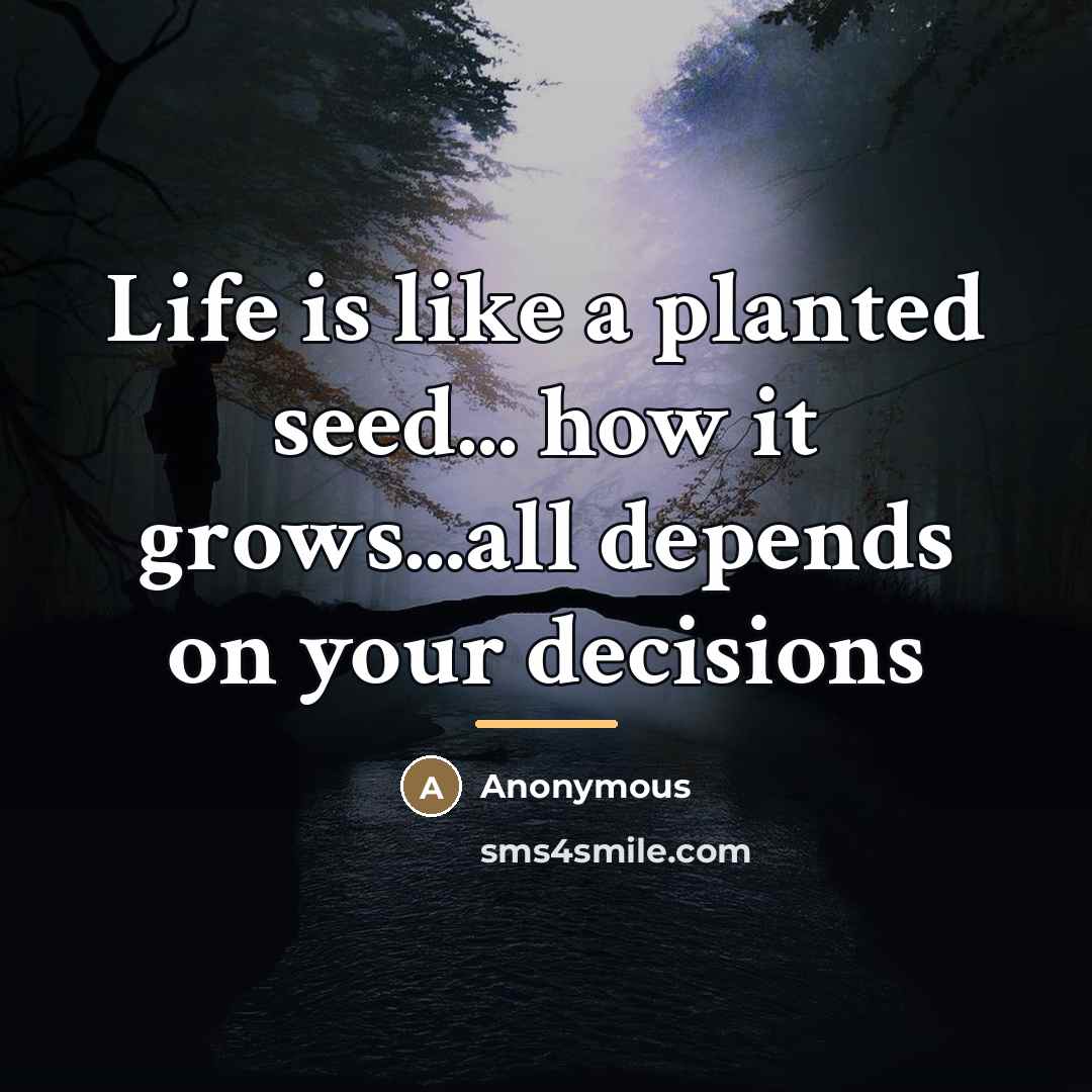 “Life is like a planted seed... how it grows...all depends…” quote by Anonymous