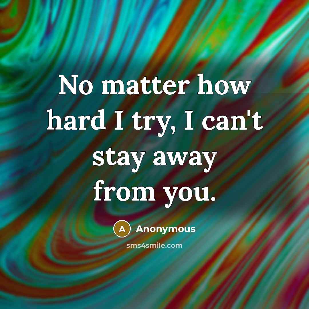 “No matter how hard I try, I can't stay away from you.” quote by Anonymous