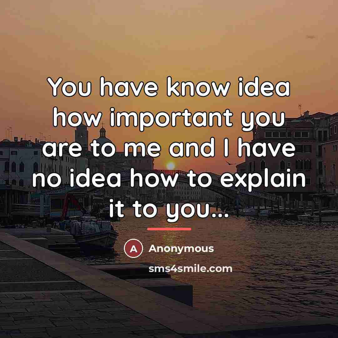 “You have know idea how important you are to me…” quote by Anonymous