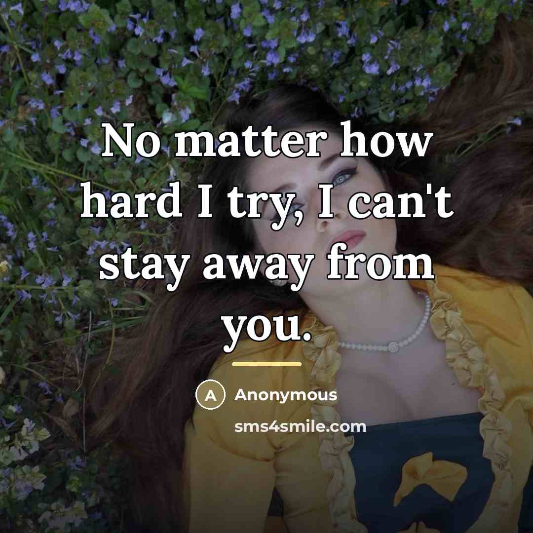 “No matter how hard I try, I can't stay away…” quote by Anonymous