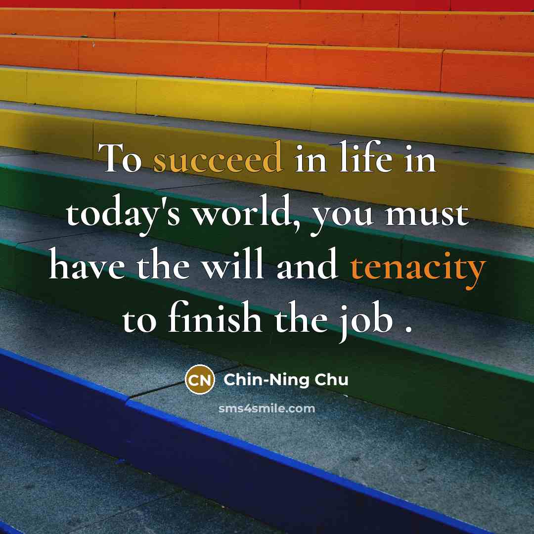 “To succeed in life in today's world, you must have…” quote by Chin-Ning Chu