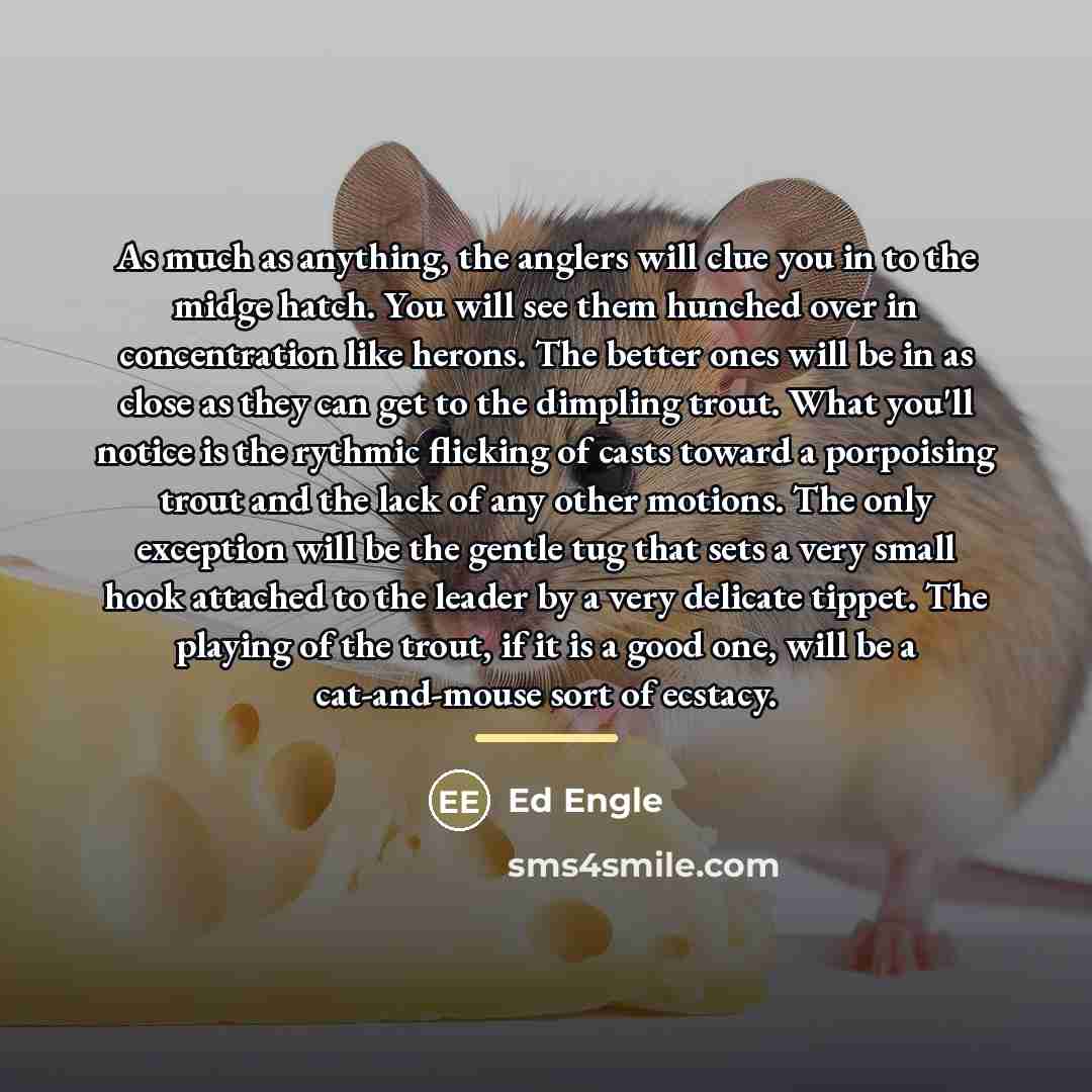 “As much as anything, the anglers will clue you in…” quote by Ed Engle