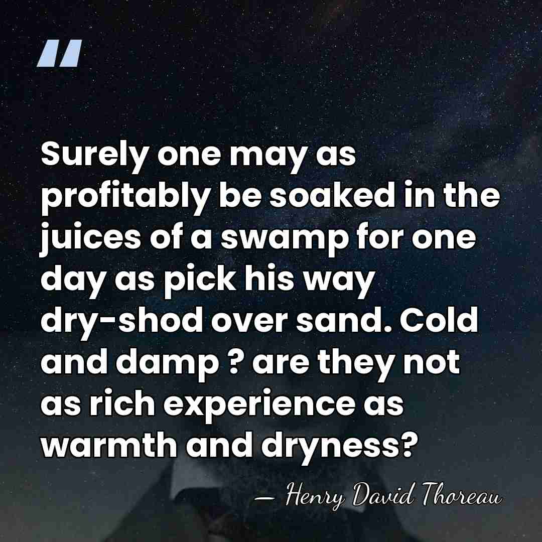 Surely one may as profitably be soaked in the juices of a&hellip; - Henry David Thoreau