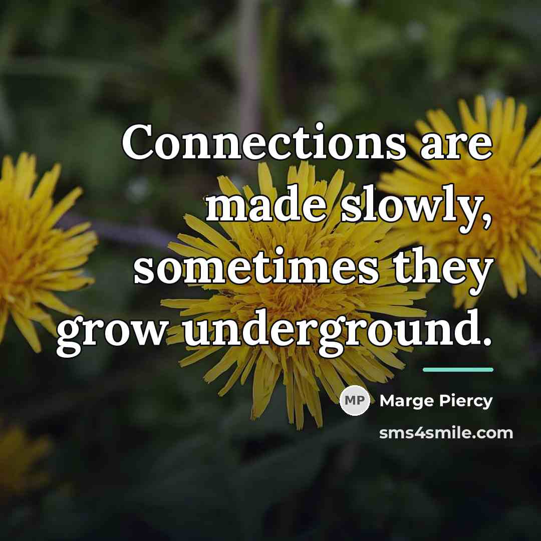 “Connections are made slowly, sometimes they grow underground.…” quote by Marge Piercy