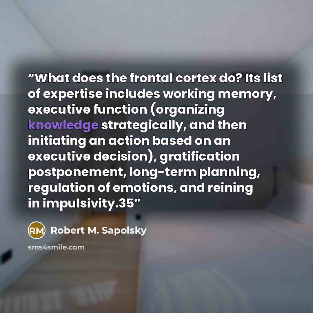 “What does the frontal cortex do? Its list of expertise includes working memory, executive function (organizing knowledge strategically, and then initiating an action based on an executive decision), gratification postponement, long-term planning, regulation of emotions, and reining in impulsivity.35” quote by Robert M. Sapolsky