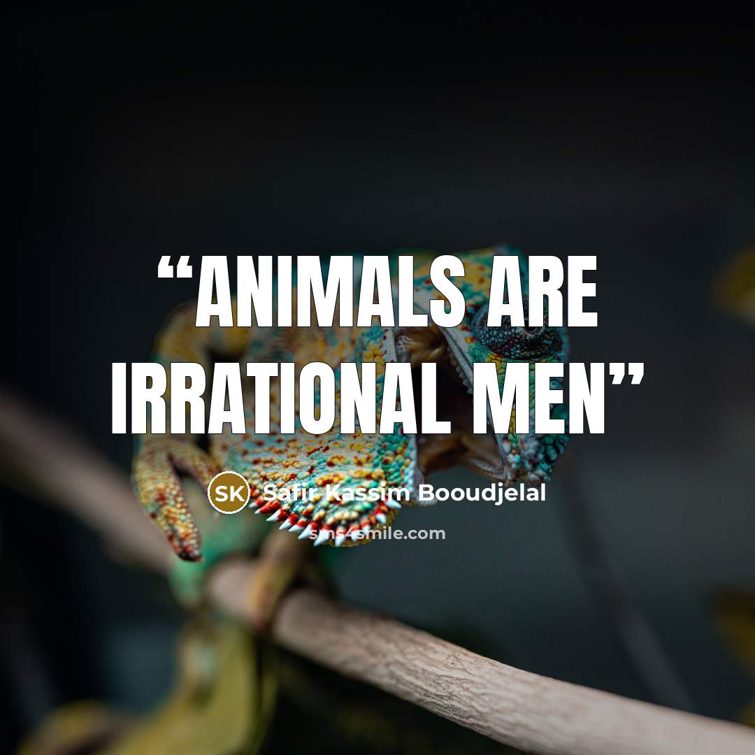 “Animals are irrational men” quote by Safir Kassim Booudjelal