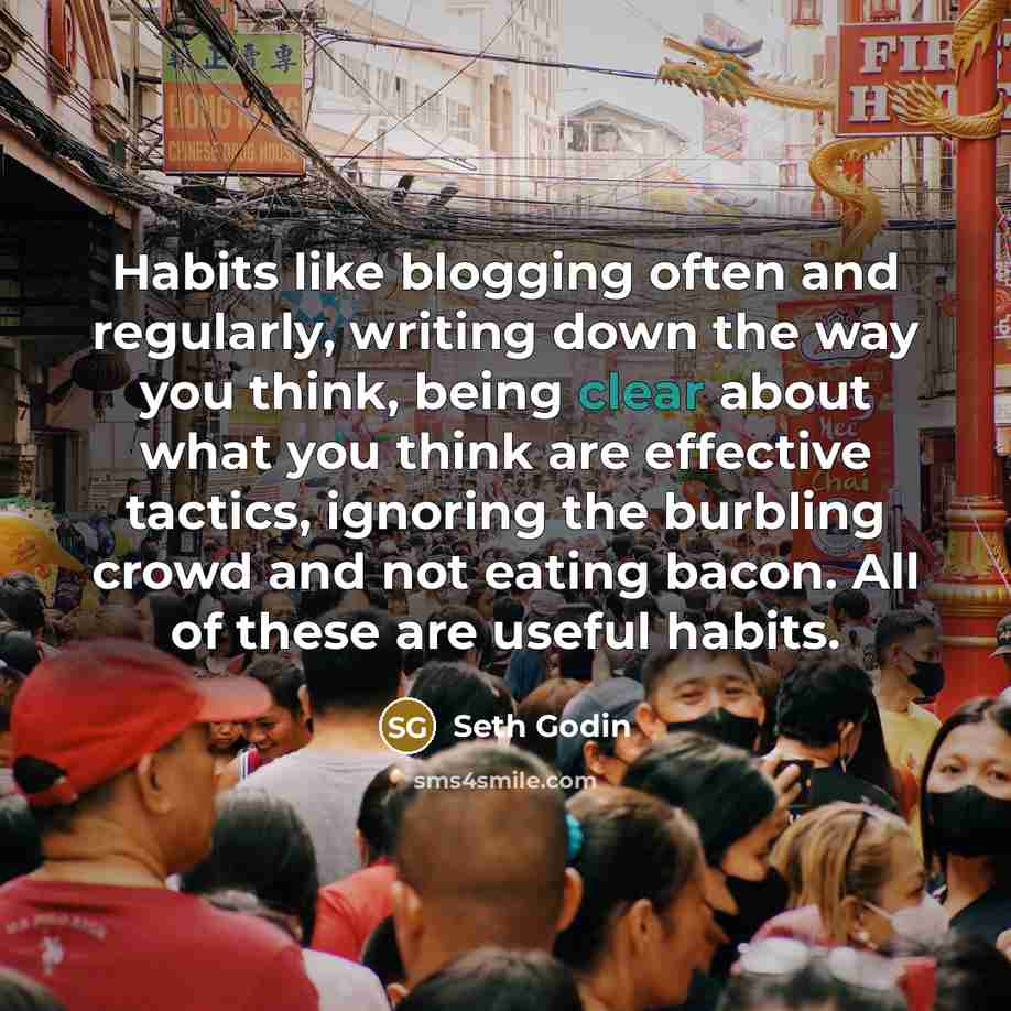 “Habits like blogging often and regularly, writing down the way…” quote by Seth Godin
