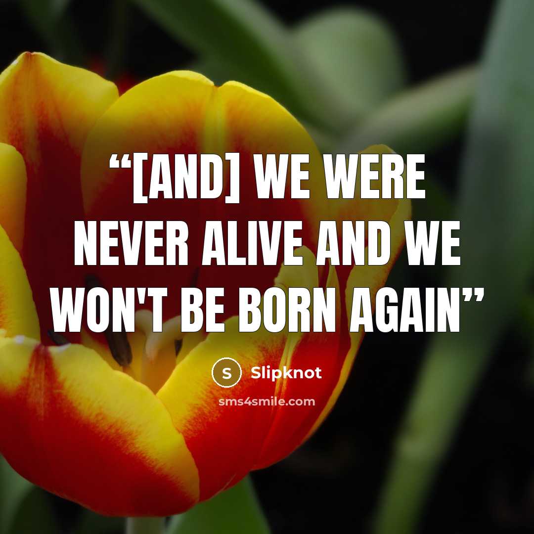 “[And] we were never alive and we won't be born again” quote by Slipknot