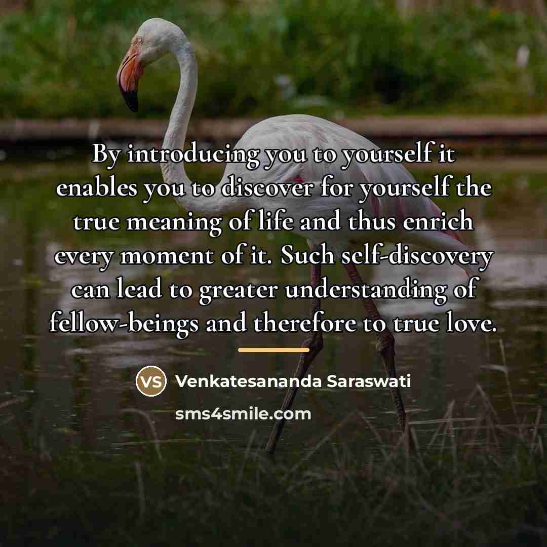 “By introducing you to yourself it enables you to discover…” quote by Venkatesananda Saraswati