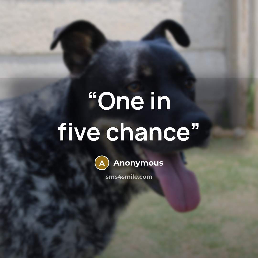 “One in five chance” quote by Anonymous