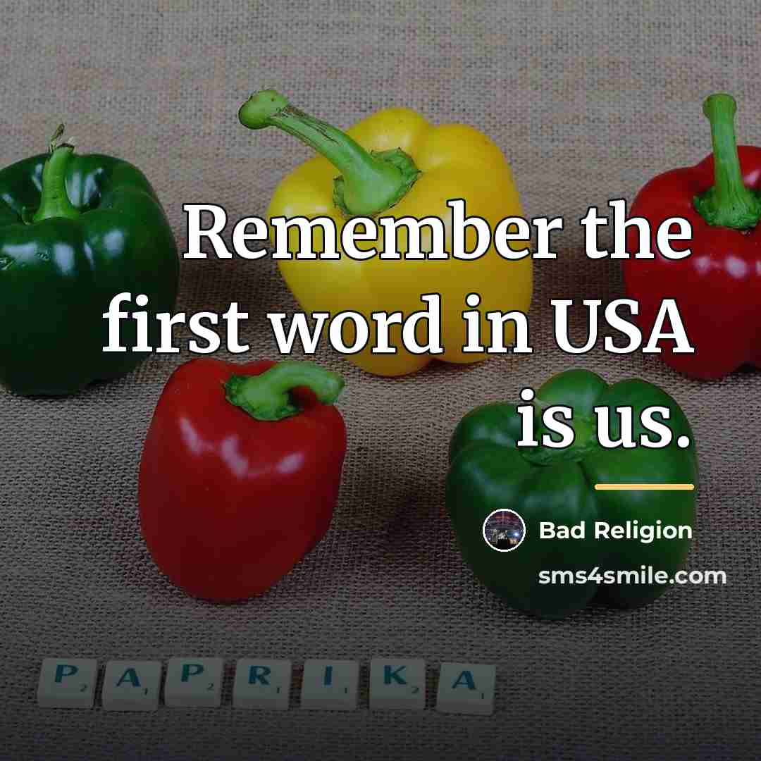 “Remember the first word in USA is us.…” quote by Bad Religion