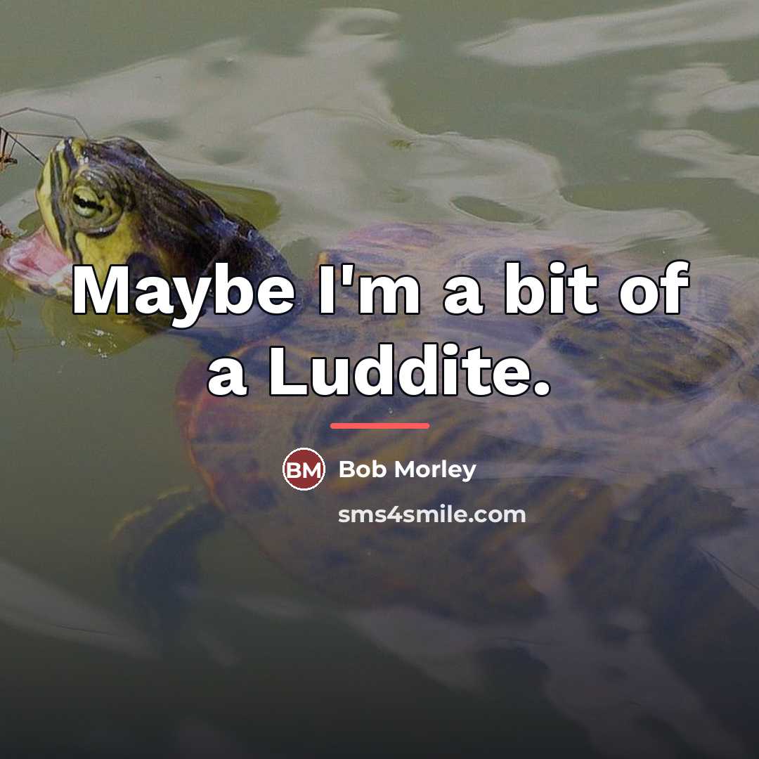 “Maybe I'm a bit of a Luddite.…” quote by Bob Morley