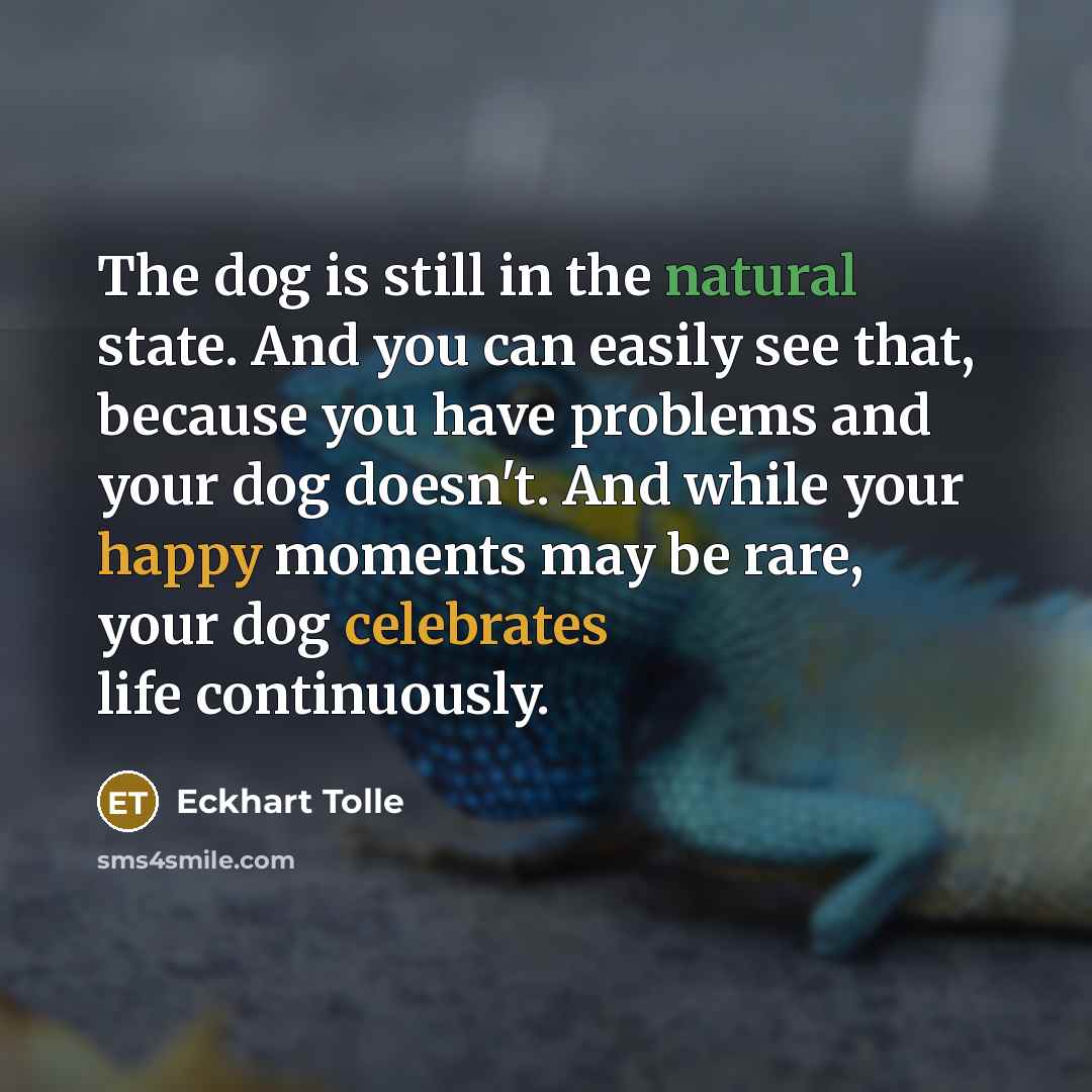 “The dog is still in the natural state. And you can easily see that, because you have problems and your dog doesn't. And while your happy moments may be rare, your dog celebrates life continuously.” quote by Eckhart Tolle