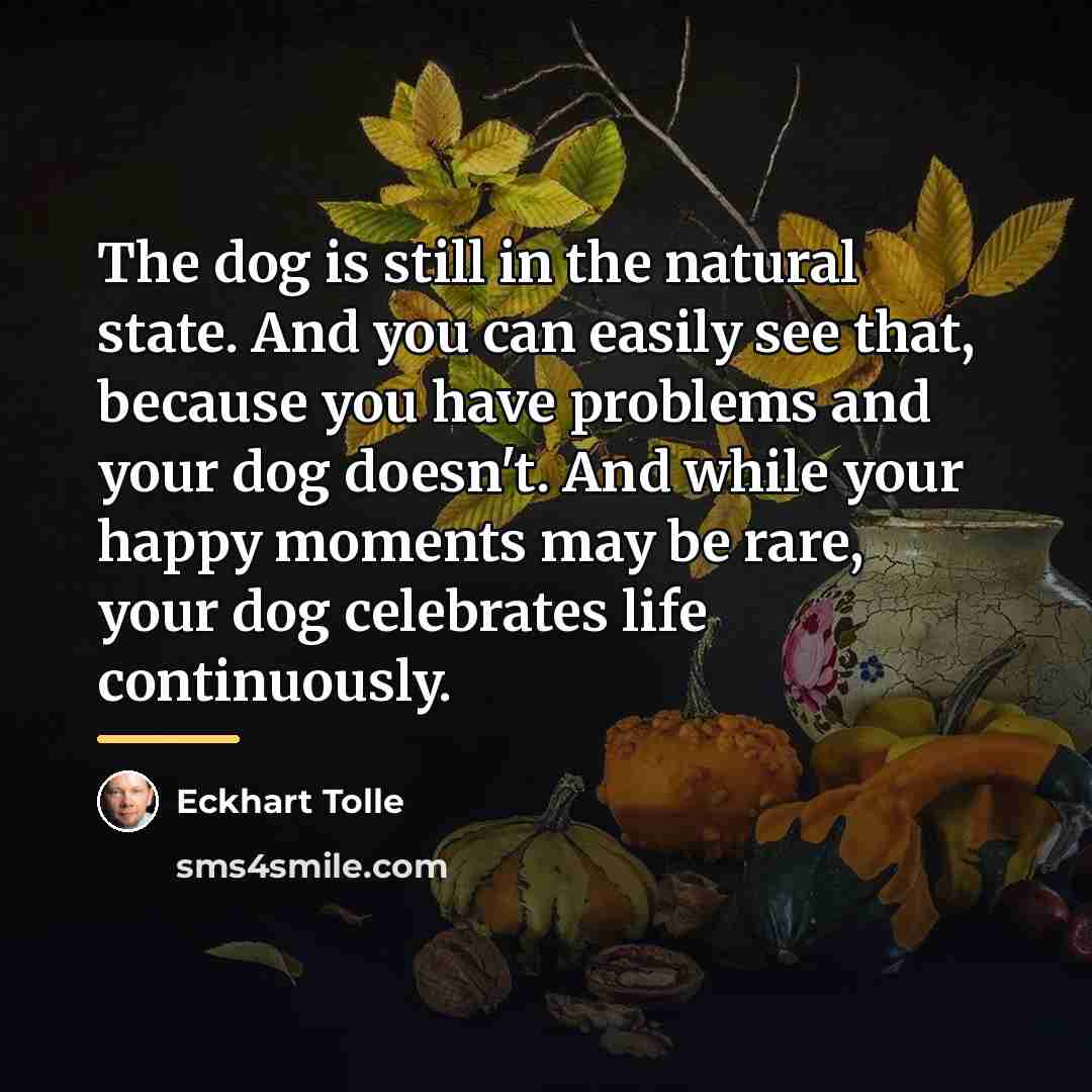 “The dog is still in the natural state. And you…” quote by Eckhart Tolle