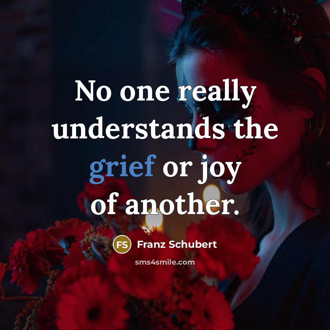 “No one really understands the grief or joy of another.…” quote by Franz Schubert