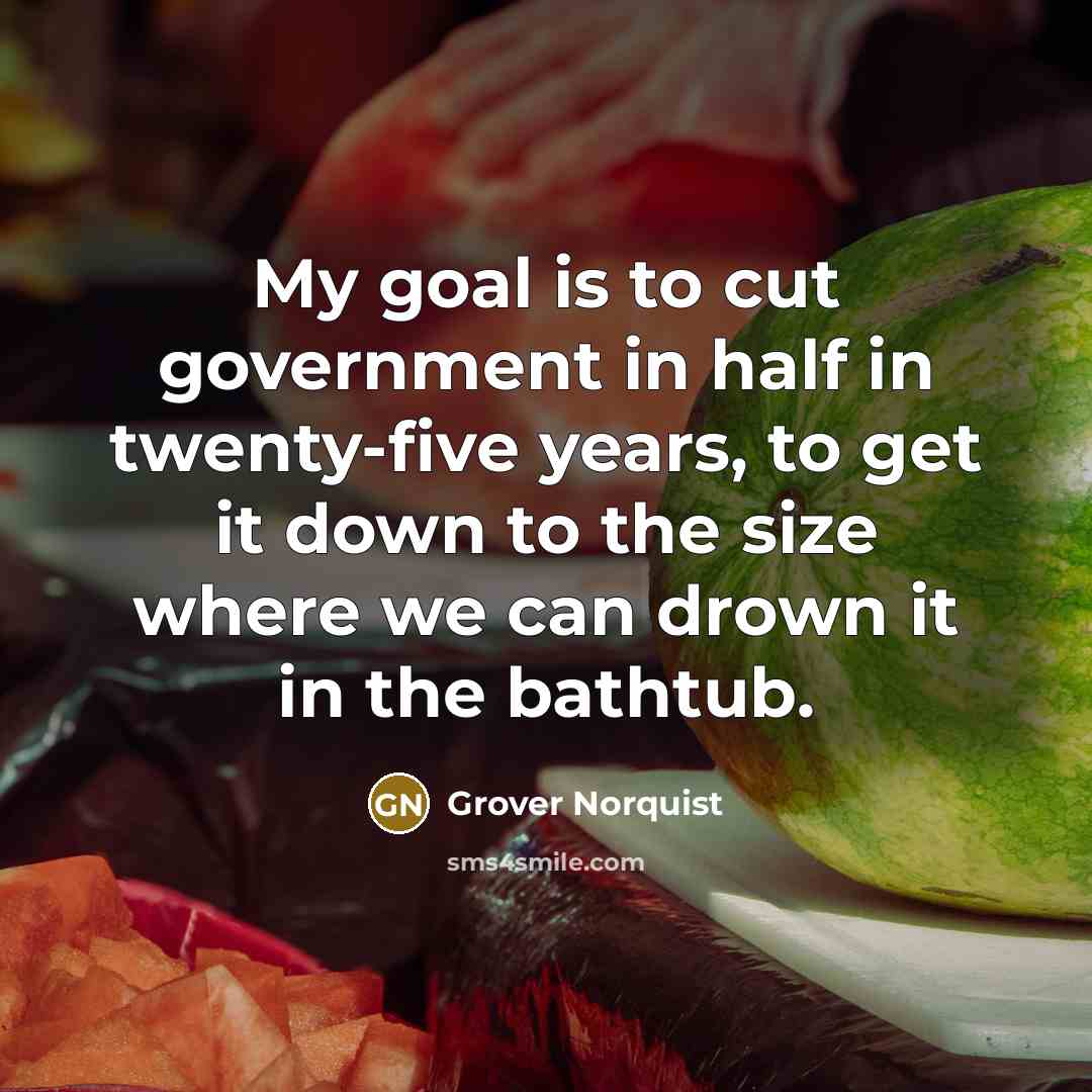 “My goal is to cut government in half in twenty-five…” quote by Grover Norquist