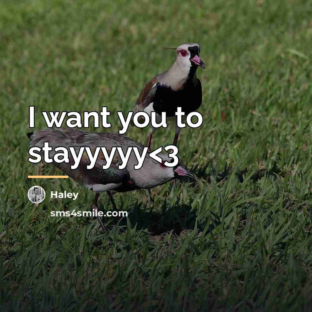 “I want you to stayyyyy…” quote by Haley