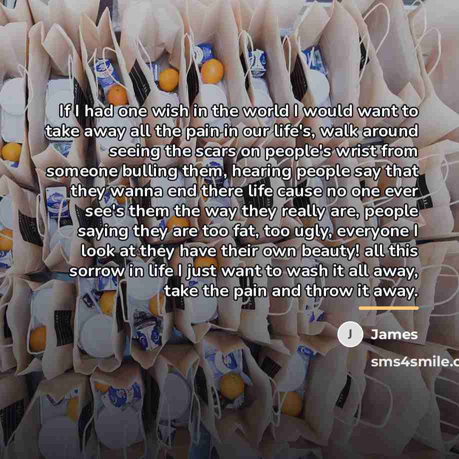 “If I had one wish in the world I would…” quote by James