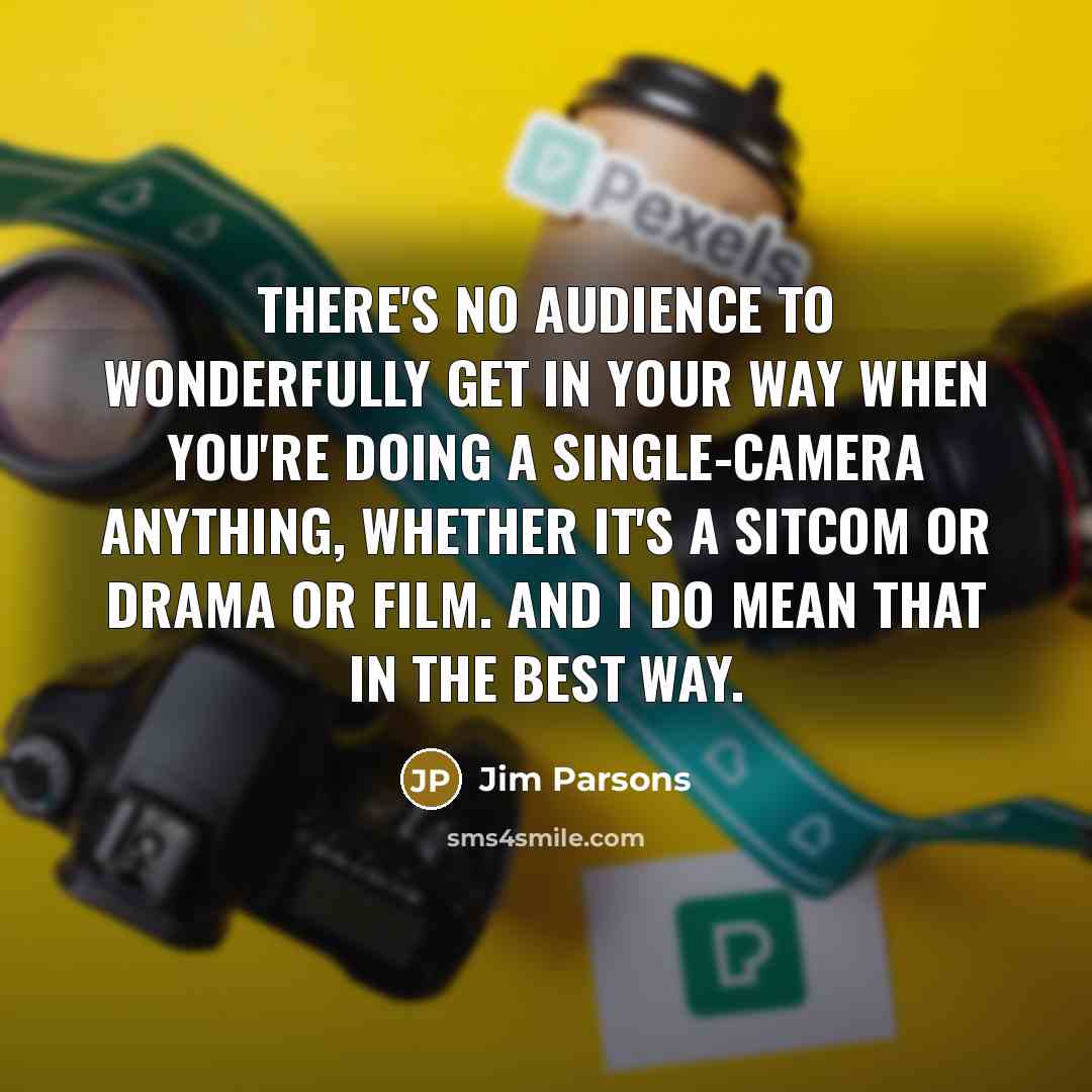 “There's no audience to wonderfully get in your way when…” quote by Jim Parsons