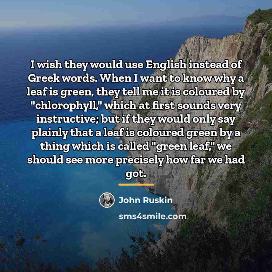 “I wish they would use English instead of Greek words.…” quote by John Ruskin