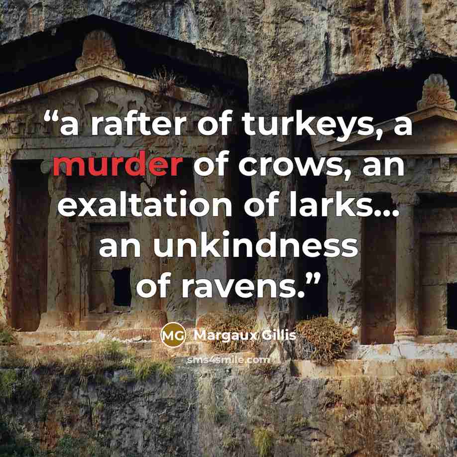 “a rafter of turkeys, a murder of crows, an exaltation of larks… an unkindness of ravens.” quote by Margaux Gillis