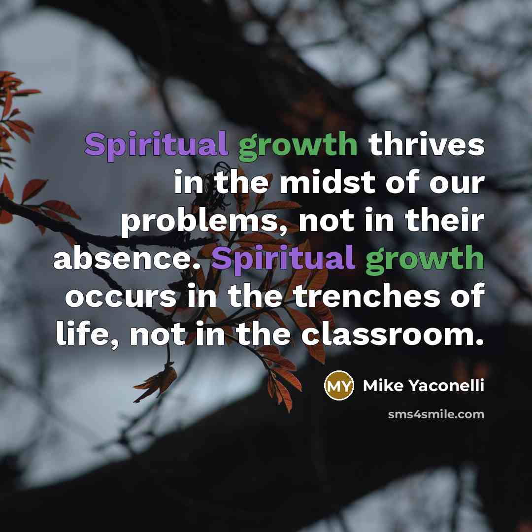 “Spiritual growth thrives in the midst of our problems, not…” quote by Mike Yaconelli
