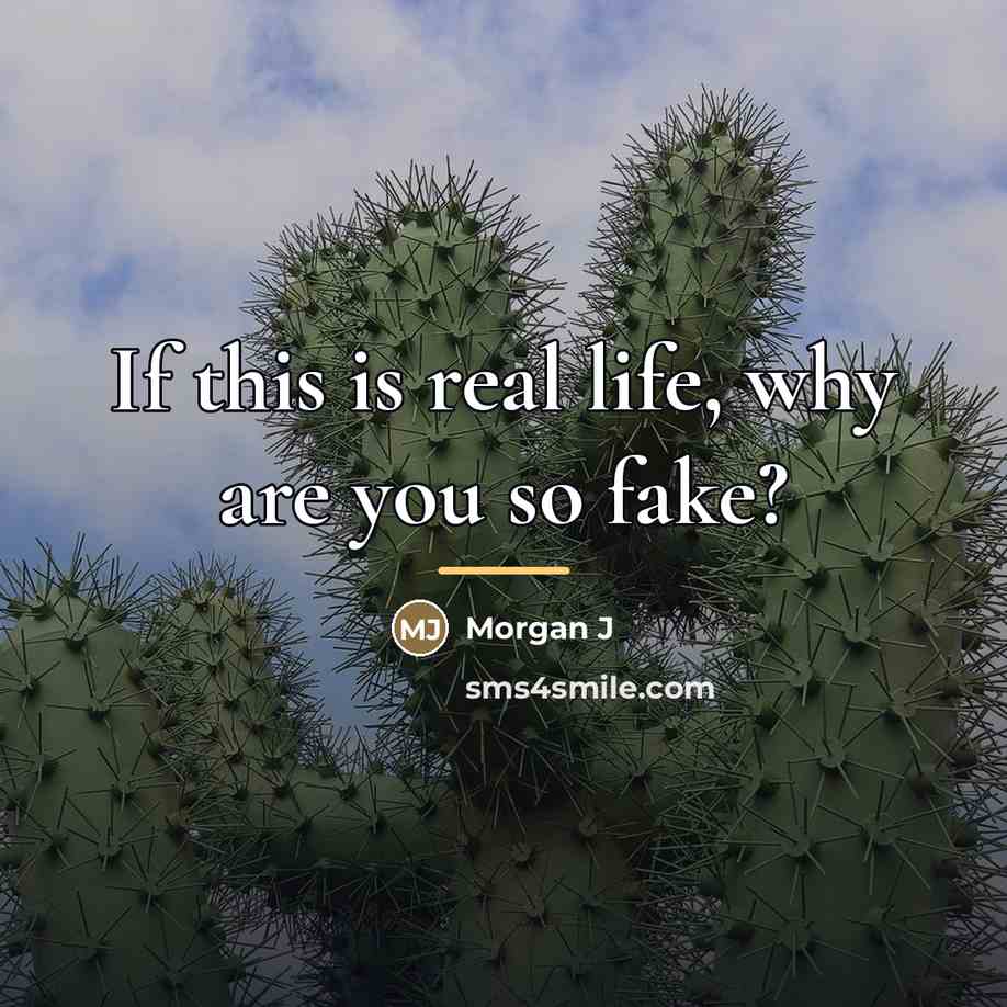 “If this is real life, why are you so fake?…” quote by Anonymous