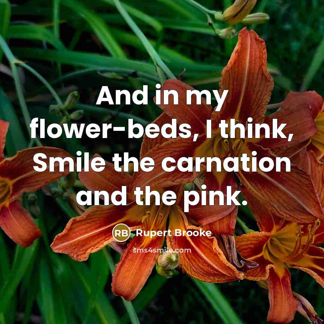 “And in my flower-beds, I think, Smile the carnation and…” quote by Rupert Brooke