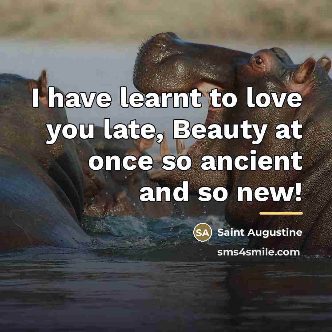 “I have learnt to love you late, Beauty at once…” quote by Saint Augustine