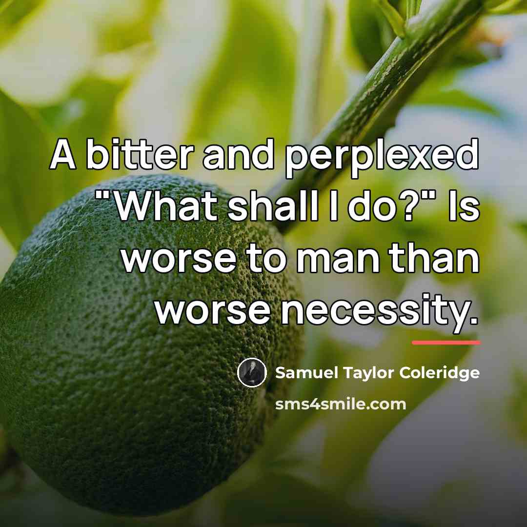 “A bitter and perplexed "What shall I do?" Is worse…” quote by Samuel Taylor Coleridge