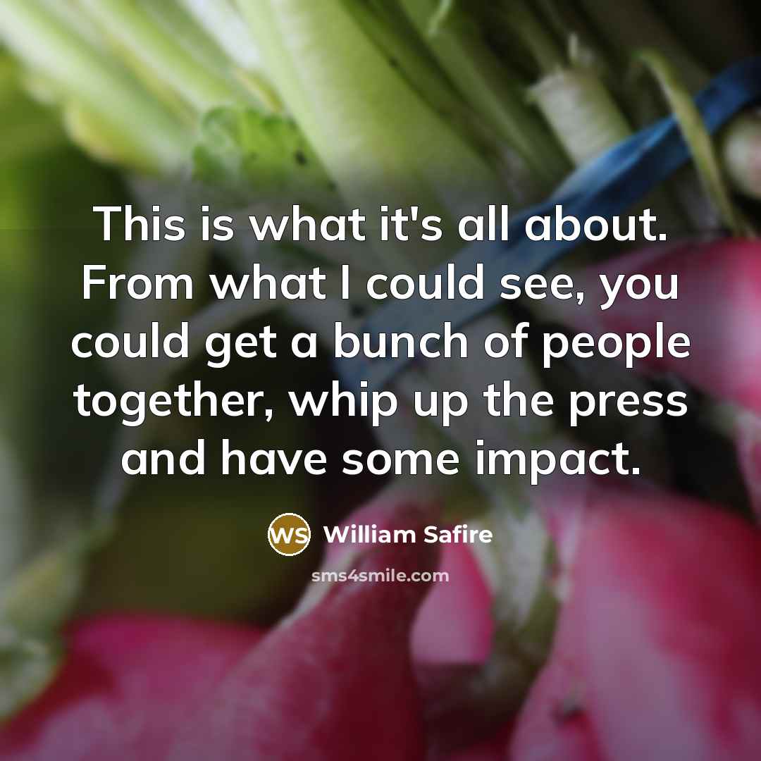 “This is what it's all about. From what I could…” quote by William Safire