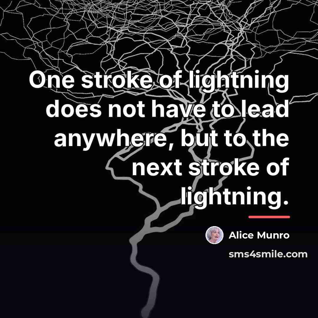 “One stroke of lightning does not have to lead anywhere,…” quote by Alice Munro