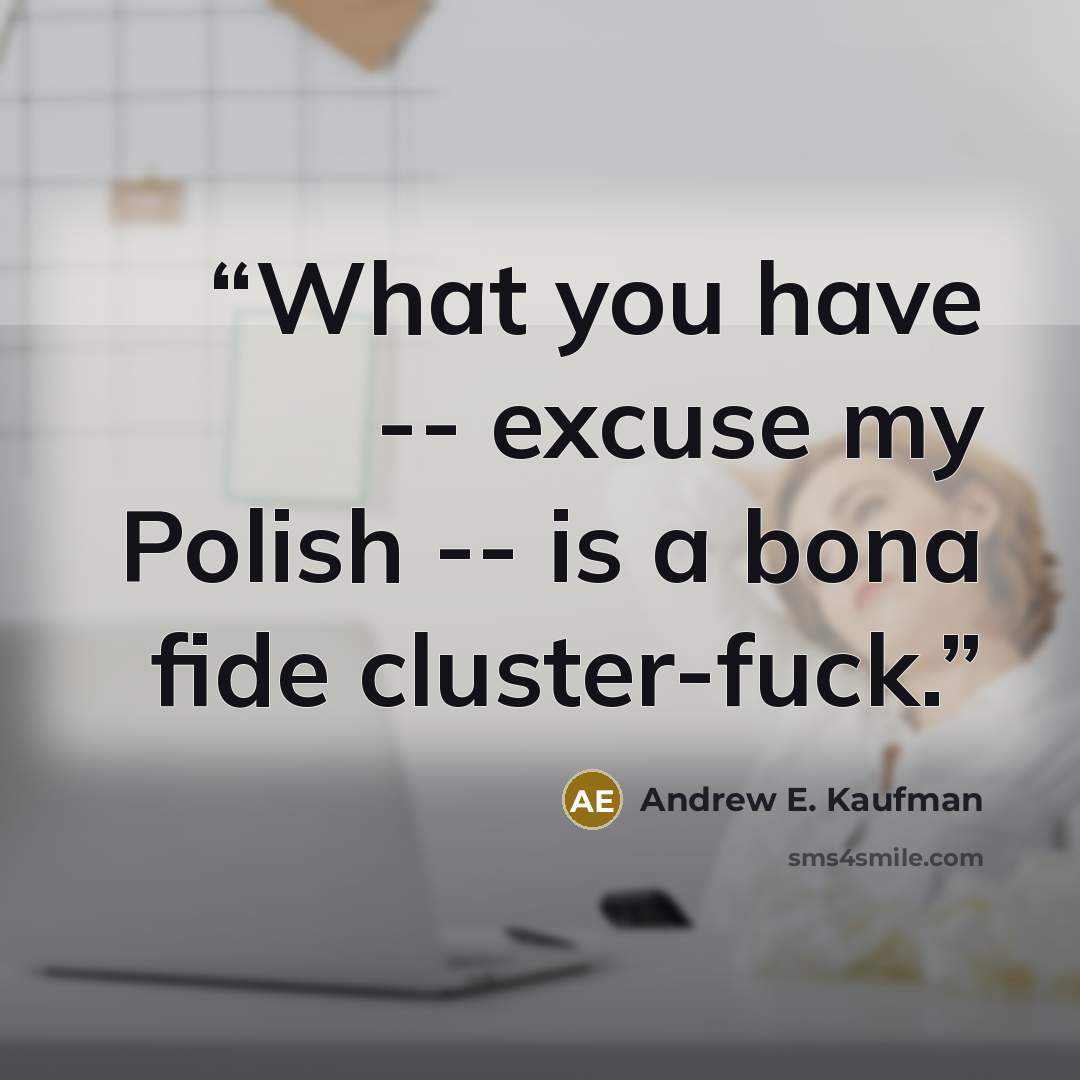 “What you have -- excuse my Polish -- is a bona fide cluster-fuck.” quote by Andrew E. Kaufman