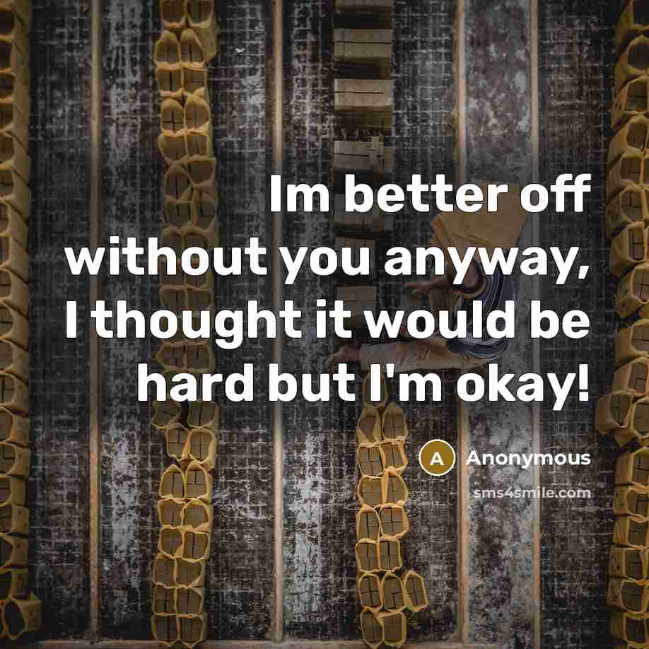 “Im better off without you anyway, I thought it would…” quote by Anonymous