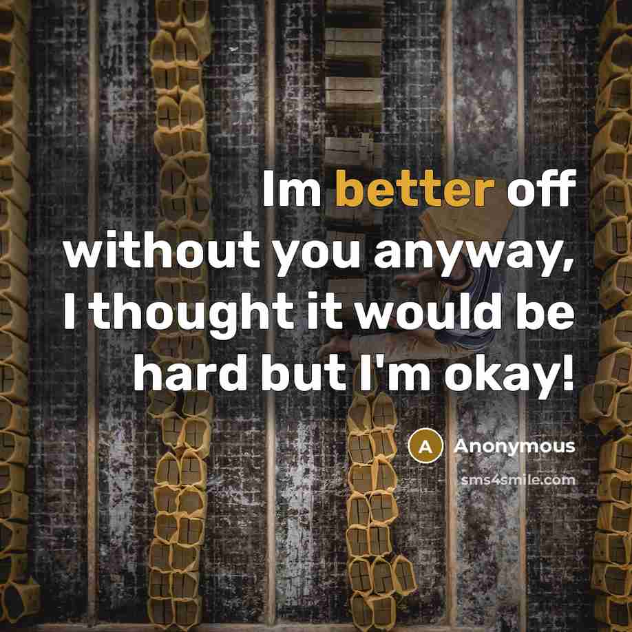 “Im better off without you anyway, I thought it would be hard but I'm okay!” quote by Anonymous