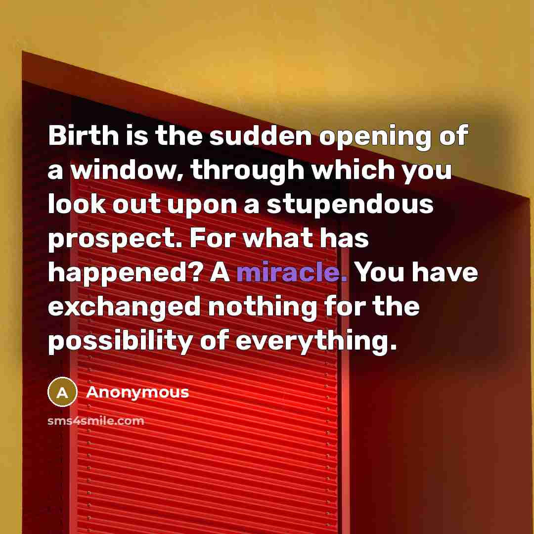 “Birth is the sudden opening of a window, through which…” quote by Anonymous