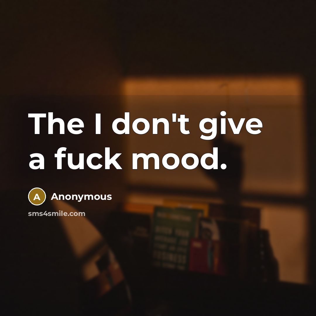 “The I don't give a fuck mood.” quote by Anonymous