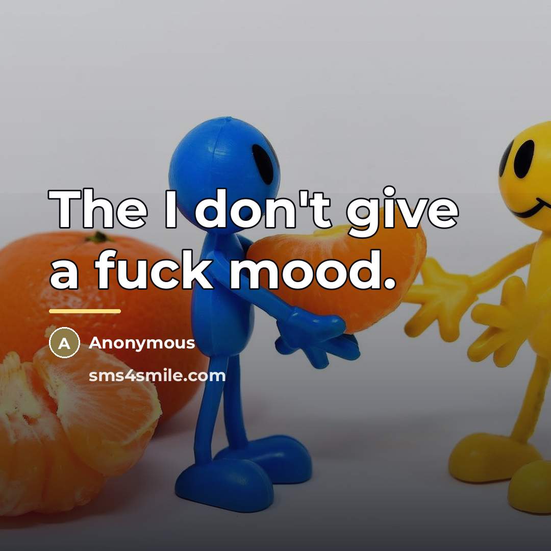 “The I don't give a fuck mood.…” quote by Anonymous