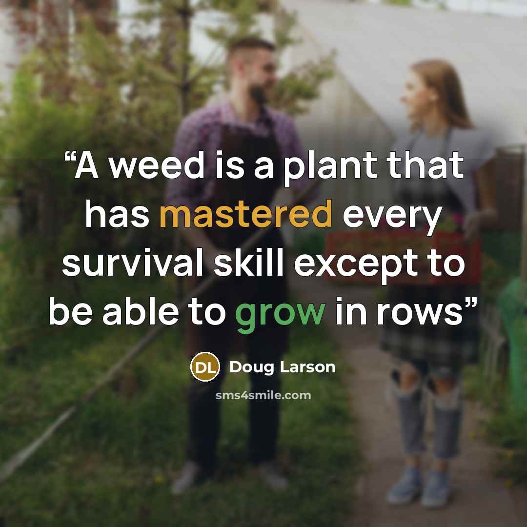 “A weed is a plant that has mastered every survival skill except to be able to grow in rows” quote by Doug Larson