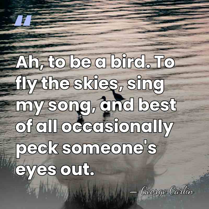 Ah, to be a bird. To fly the skies, sing my song,&hellip; - George Carlin