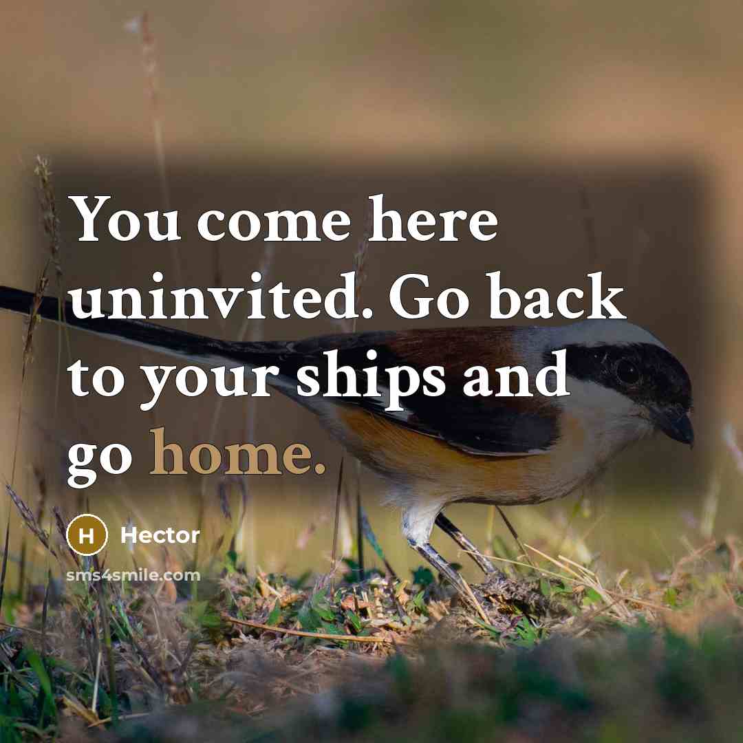 “You come here uninvited. Go back to your ships and…” quote by Hector