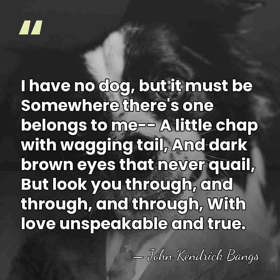 I have no dog, but it must be Somewhere there's one belongs&hellip; - John Kendrick Bangs