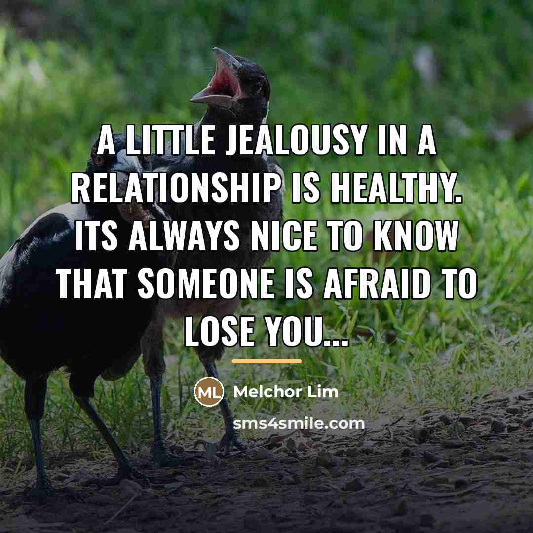 “A little jealousy in a relationship is healthy. Its always…” quote by Melchor Lim