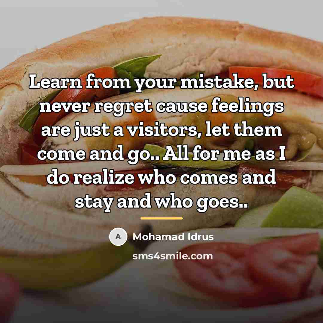 “Learn from your mistake, but never regret cause feelings are…” quote by Mohamad Idrus