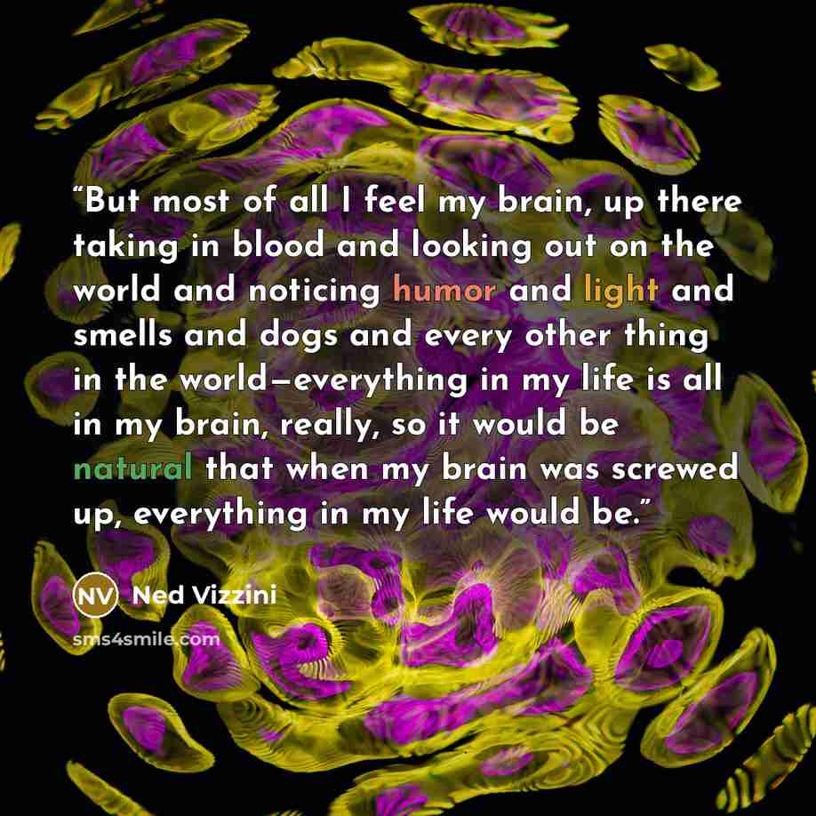 “But most of all I feel my brain, up there taking in blood and looking out on the world and noticing humor and light and smells and dogs and every other thing in the world—everything in my life is all in my brain, really, so it would be natural that when my brain was screwed up, everything in my…” quote by Ned Vizzini