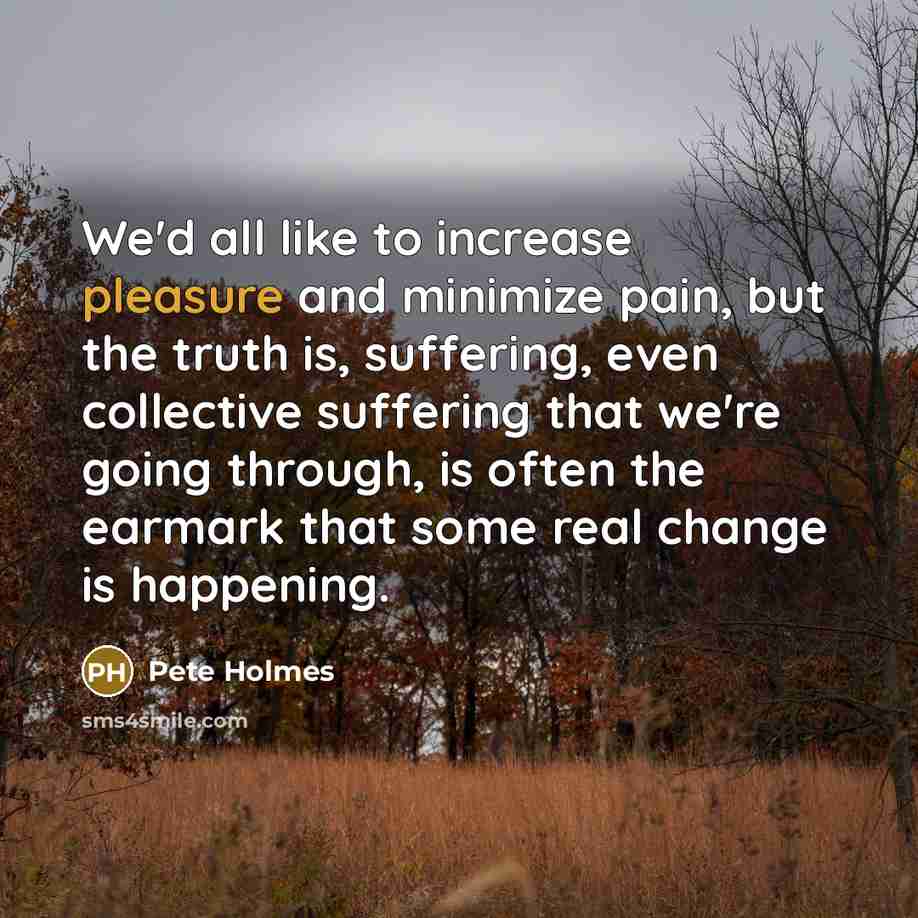“We'd all like to increase pleasure and minimize pain, but…” quote by Pete Holmes